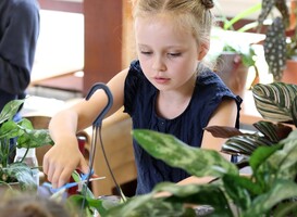 Planten in het klaslokaal zorgen voor een goede sfeer en betere concentratie 