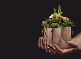 Onderwijsassistenten werken soms alleen maar voor een bos bloemen Onderwijsassistenten werken soms alleen maar voor een bos bloemen