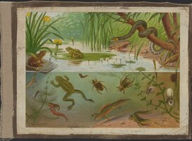 Nationaal Onderwijsmuseum maakt erfgoed collectie digitaal beschikbaar Nationaal Onderwijsmuseum maakt erfgoed collectie digitaal beschikbaar