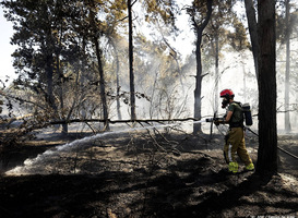 Natuurbranden De Grote Heide zijn aangestoken, 17-jarige jongen is verdachte 