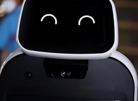 VU: Sociale robots van meerwaarde bij behandeling forensische patiënten VU: Sociale robots van meerwaarde bij behandeling forensische patiënten