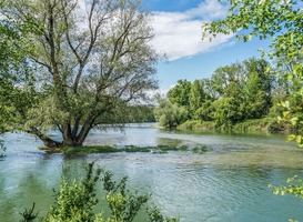 Driekwart van de mensen in rivierdelta's niet beschermd tegen overstromingen Driekwart van de mensen in rivierdelta's niet beschermd tegen overstromingen