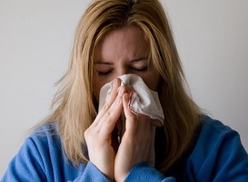 Normal_griep-ziek-verzuim