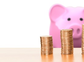 Lerarenbeurs zeer waarschijnlijk met vijf jaar verlengd Lerarenbeurs zeer waarschijnlijk met vijf jaar verlengd