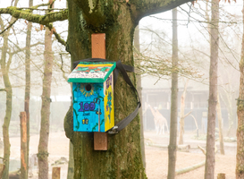 Honderd vogelhuisjes geschonken door basisschool aan DierenPark Amersfoort Honderd vogelhuisjes geschonken door basisschool aan DierenPark Amersfoort