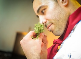 Chef-koks leren basisschoolleerlingen de fijne kneepjes van het vak Chef-koks leren basisschoolleerlingen de fijne kneepjes van het vak