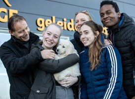 Pups opvoeden tot blindengeleidehond is nog een onbekende baan