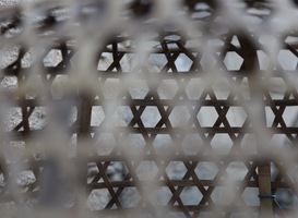 Verplichte Holocaust-educatie om antisemitisme te voorkomen Verplichte Holocaust-educatie om antisemitisme te voorkomen