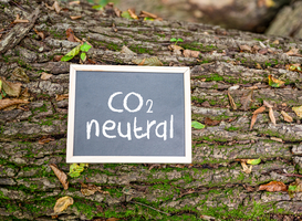 Onderzoek VU: CO2-compensatie fossiele industrie is een wassen neus Onderzoek VU: CO2-compensatie fossiele industrie is een wassen neus