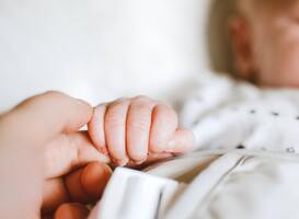 Krentenbaard op de kinderopvang: dit is waarom je kind naar de opvang mag