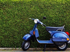 Een scooterverzekering is voor jongeren vaak peperduur Een scooterverzekering is voor jongeren vaak peperduur