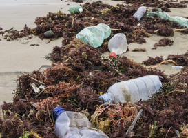 Minder plastic in de oceaan en opruimen is makkelijker Minder plastic in de oceaan en opruimen is makkelijker