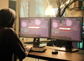 Onderwijssector rapporteert het hoogste aantal ransomeware-aanvallen Onderwijssector rapporteert het hoogste aantal ransomeware-aanvallen