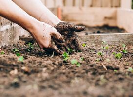 'Kinderen leren in tijden van klimaatverandering veel te weinig over natuur' 'Kinderen leren in tijden van klimaatverandering veel te weinig over natuur'