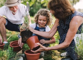 Normal_senior-grandparents-and-granddaughter-gardening-in-2022-02-02-04-49-37-utc__1_