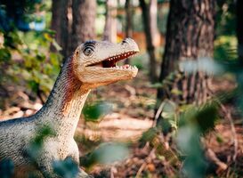 Velociraptor te zien tijdens herfstvakantie in DierenPark Amersfoort 