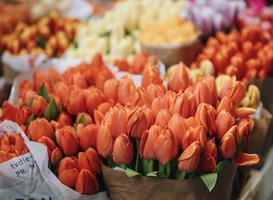 Bosje bloemen duurder om studenten tegemoet te komen in hun studieschuld