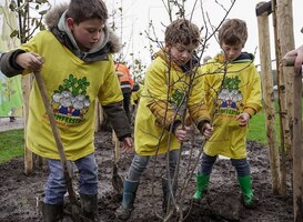 Kinderen openen met planten van een es het Boomfeestdag-plantseizoen 2023/2024