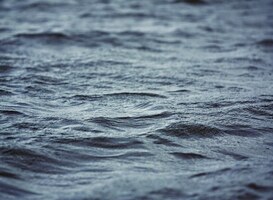 Kelder Gomarus College in Groningen onder water vanwege vele regenbuien