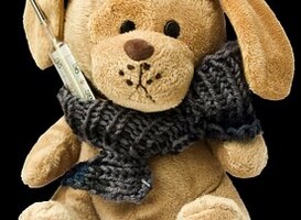 Schoolkinderen bezoeken ziekenhuis CWZ mét favoriete knuffel Schoolkinderen bezoeken ziekenhuis CWZ mét favoriete knuffel