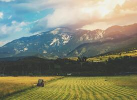 Boeren in Spanje krijgen hulp van leerlingen Martinuscollege Boeren in Spanje krijgen hulp van leerlingen Martinuscollege