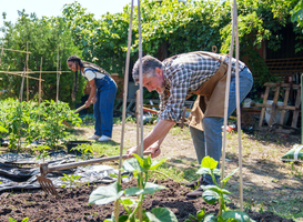 Scholieren en jonge asielzoekers werken samen aan nieuwe moestuin in Diever