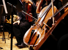 Nederlands Studenten Kamerorkest bestaat zestig jaar en viert dat met muziek Nederlands Studenten Kamerorkest bestaat zestig jaar en viert dat met muziek