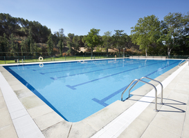 Normal_outdoor-swimming-pool-surrounded-by-trees-recreat-2023-11-27-05-21-31-utc