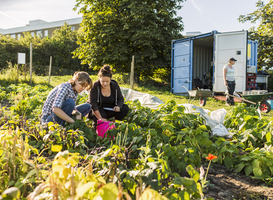 Kindcentrum De Vonder opent wondertuin naar een idee van de leerlingen zelf Kindcentrum De Vonder opent wondertuin naar een idee van de leerlingen zelf