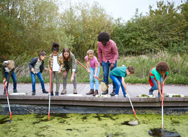 OCW investeert 4 miljoen euro in onderzoek naar herstel biodiversiteit 