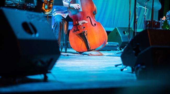 Carousel_double-bassist-performing-on-stage-seen-from-crowd-2023-11-27-05-27-17-utc