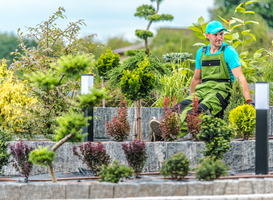 Normal_gardener-proud-of-his-work-2023-11-27-04-54-28-utc