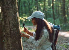 Normal_with-magnifying-glass-girl-is-in-the-forest-at-su-2023-11-27-05-27-37-utc