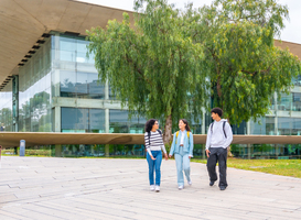 Normal_full-length-photo-of-students-walking-along-the-un-2024-05-14-00-11-59-utc__2_