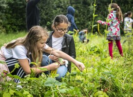 "Generatie van natuuranalfabeten dreigt van school te komen' "Generatie van natuuranalfabeten dreigt van school te komen'