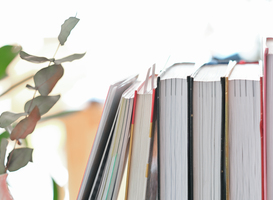 Aanraders boekenlijst vwo Aanraders boekenlijst vwo