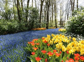 Normal_keukenhof