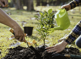 Normal_two-men-planting-a-tree-and-watering-the-trees-to-2025-02-19-02-58-36-utc