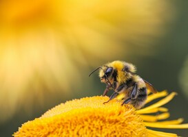 Normal_dmitry-grigoriev-yxxpjf-rrna-unsplash