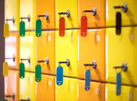 Normal_colored-lockers-in-a-sports-complex-2025-01-07-06-49-28-utc