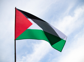 Pro-Palestina demonstranten uit bibliotheek Radboud Universiteit gehaald