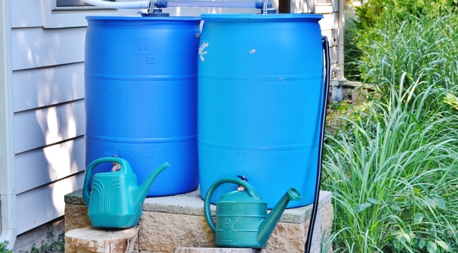 Carousel_rain-barrels-to-catch-the-rain-to-water-the-garden-2025-01-09-02-00-48-utc