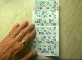 Studenten HZ zamelen met een bingo geld in voor Dierenwelzijn Zeeland Studenten HZ zamelen met een bingo geld in voor Dierenwelzijn Zeeland