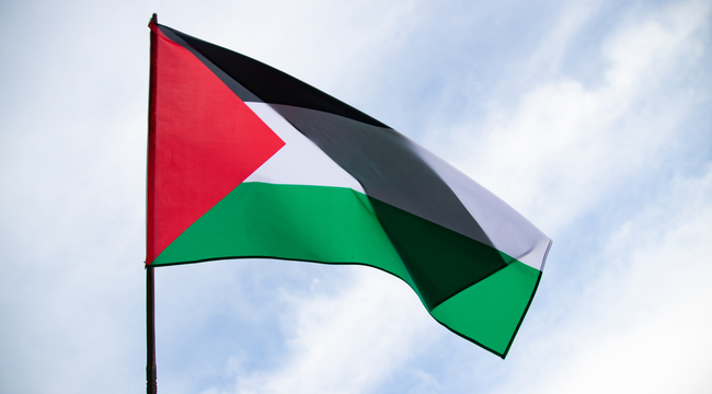 Carousel_close-up-view-of-the-flag-of-palestine-waving-in-t-2025-03-24-23-16-34-utc
