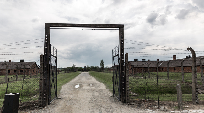 Carousel_gates-and-barbed-wire-fence-auschwitz-ii-2024-11-27-15-41-38-utc