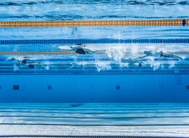 Olympisch zwemmer heeft nu pas zijn A-diploma op zak Olympisch zwemmer heeft nu pas zijn A-diploma op zak