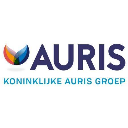 Block_auris-450x450