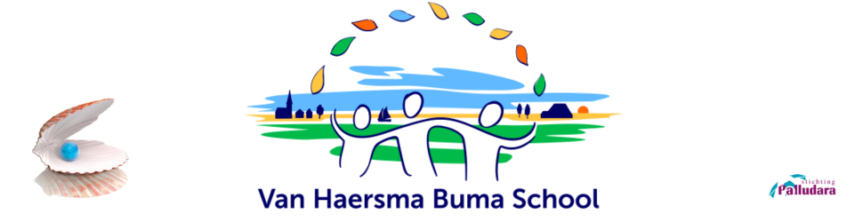 Van_haersma_bumaschool_bb