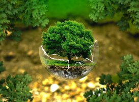 De aarde is aan het vergaan, maar taal en rekenen zijn het belangrijkst