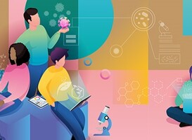 De twaalf beste profielwerkstukken in de race voor KNAW Onderwijsprijs